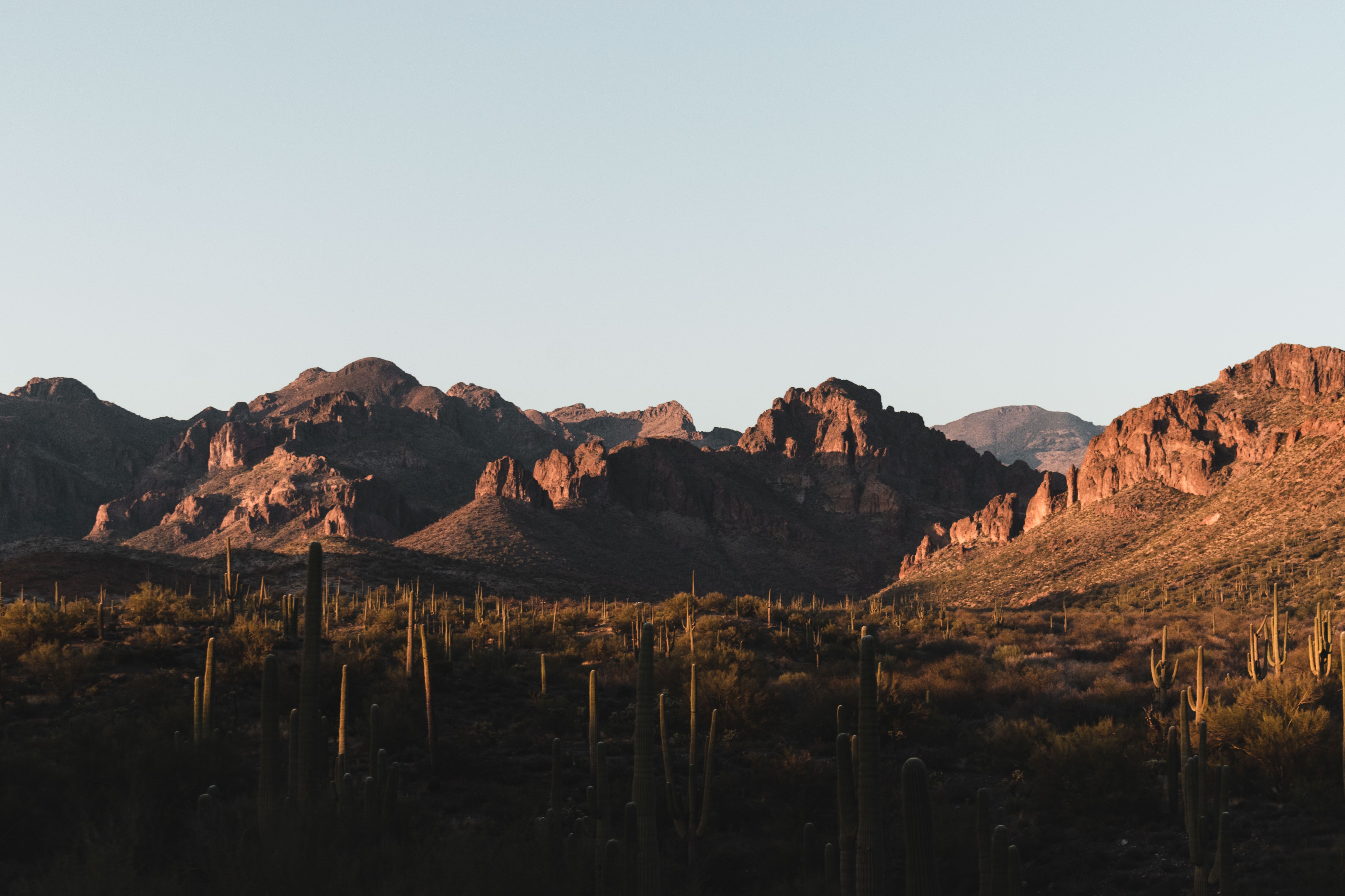 Rentals in Arizona